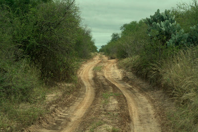 Chaco path